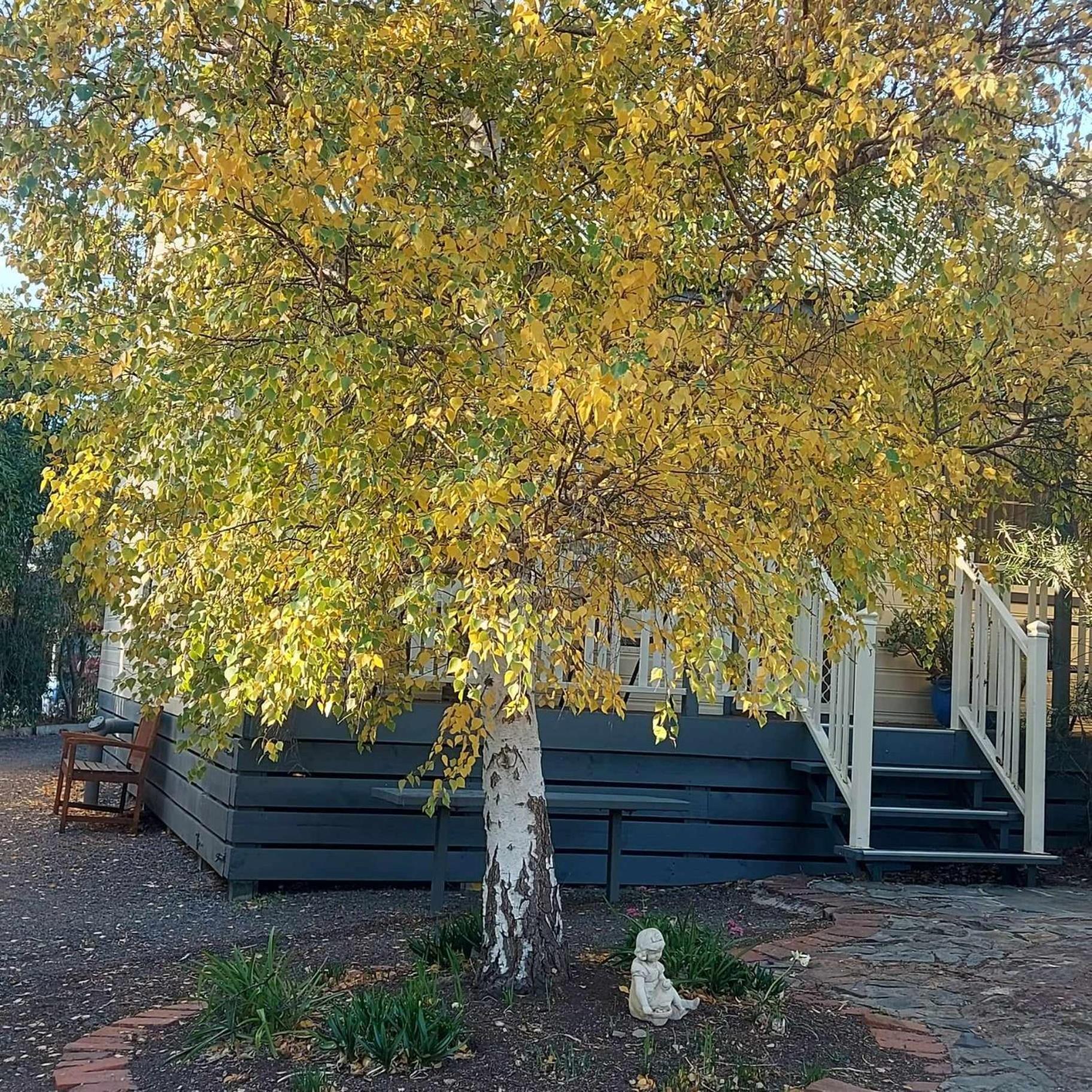 Avoca Cottages VICTORIA Esterno foto